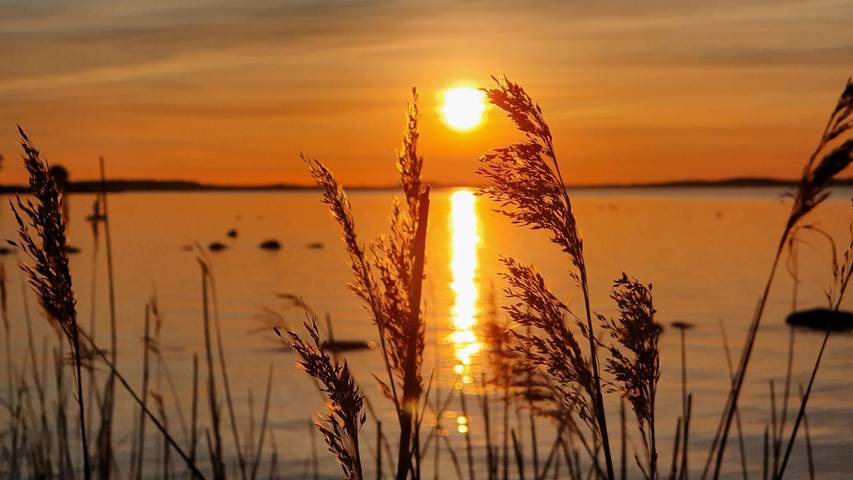Ferienhaus für 2 Personen, mit Garten und Terrasse in Stahlbrode