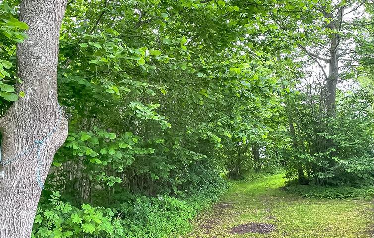 Ferienhaus für 2 Personen, mit Garten, mit Haustier in Gotland - 4
