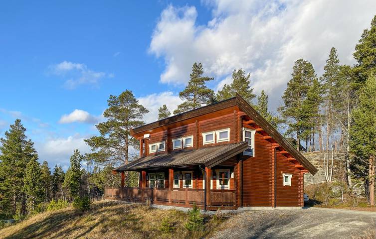 Ferienhaus für 6 Personen mit Garten in Lesja