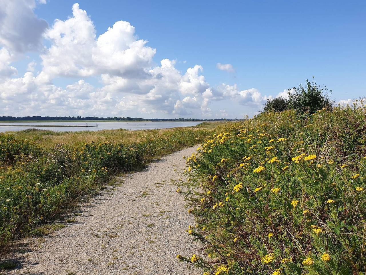 Ganze Wohnung, 4 Personen Ferienhaus in Bogense-By Traum in Bogense, Kleiner Belt