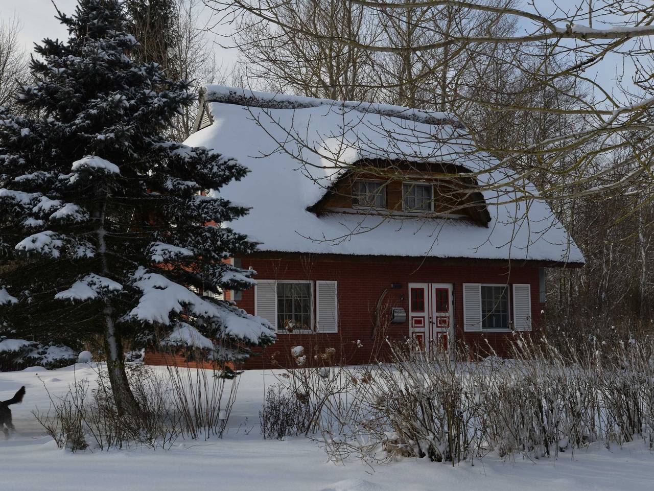 Haus-Rosenrot - Ferienhaus in Poseritz, Stralsund Umland