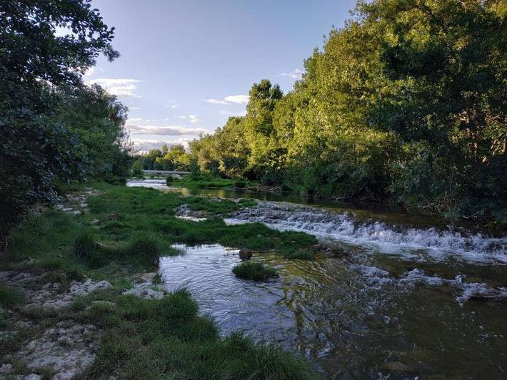 Location de vacances pour 13 personnes, animaux acceptés à Lecques - 2