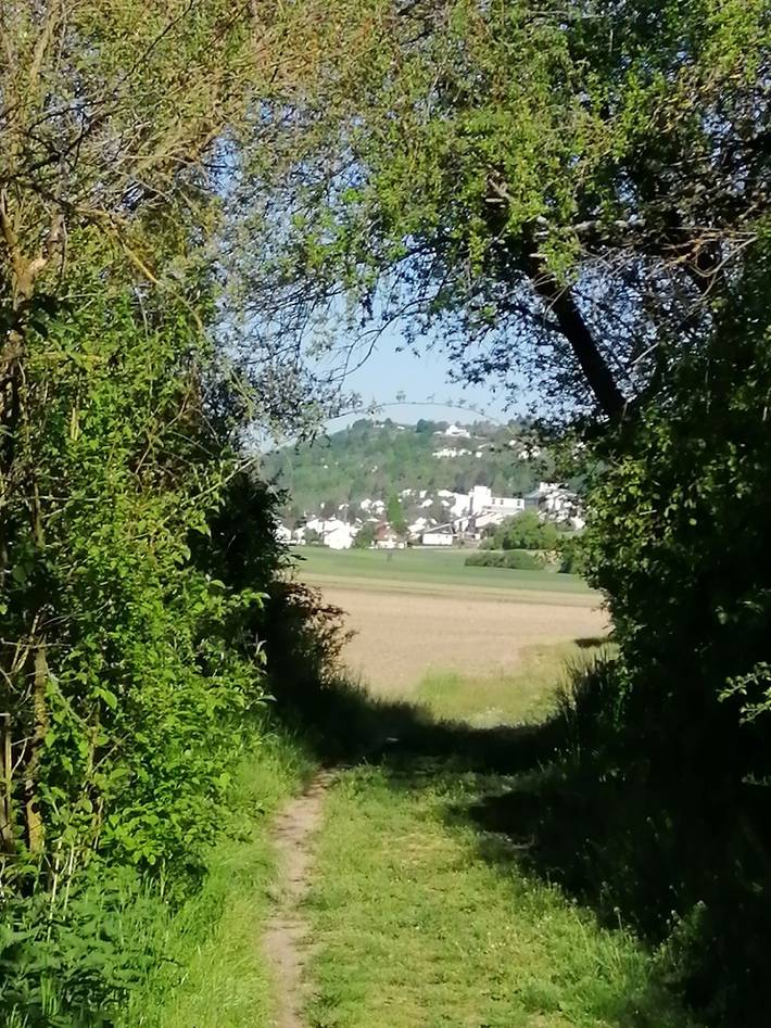 Ganze Ferienwohnung, Fewo F4 in Kelheim, Ostbayern