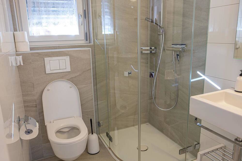 Appartement entier, Chalet Avista 4-Bettwohnung, Dusche, Wc 4-Bettwohnung Erdgeschoss in Rosswald, Brig