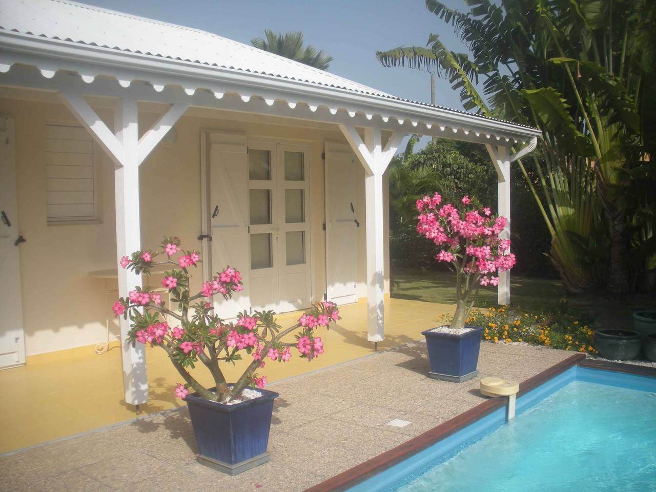 In Strandnähe in Saint-François, Guadalupe