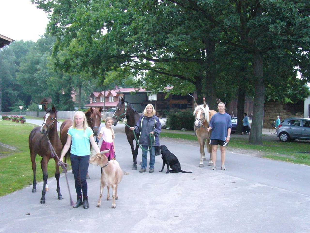 Ganze Ferienwohnung, Ferienhof Drewes - Fewo "Küken" Drewes Ranch, Du, Wc, 2 Sz in Wietzendorf, Landkreis Heidekreis