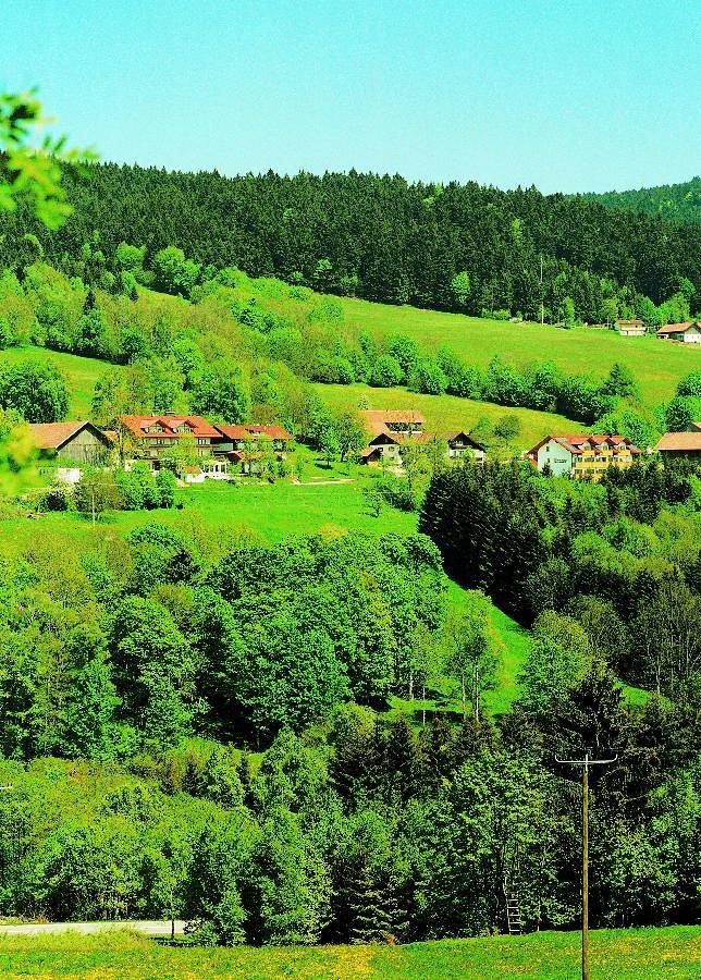 Gästehaus für 3 Personen, mit Terrasse und Garten sowie Sauna im Bayerischer Wald - 2