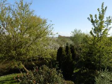 Ferienwohnung für 6 Personen in Nienhagen, Rostock und Umgebung, Bild 4