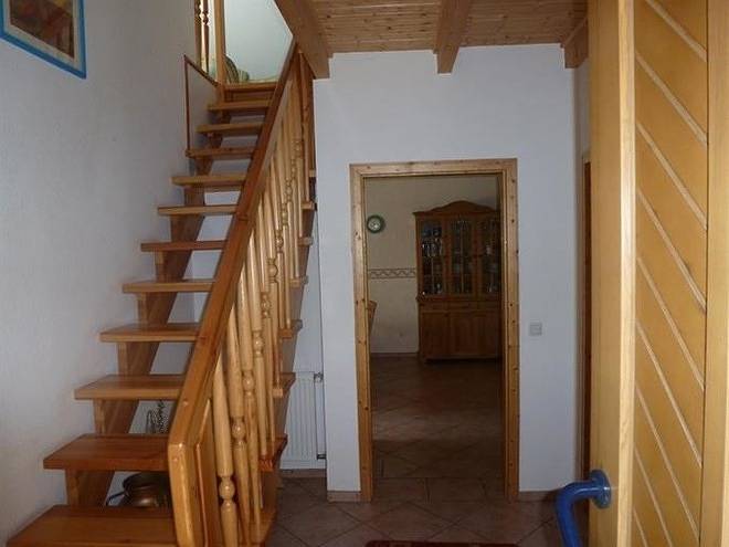 Alex (Ha03) in Sögel, Emsland