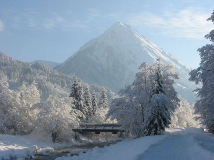 Ferienwohnung für 3 Personen, mit Garten und Terrasse, kinderfreundlich in Schoppernau - 3