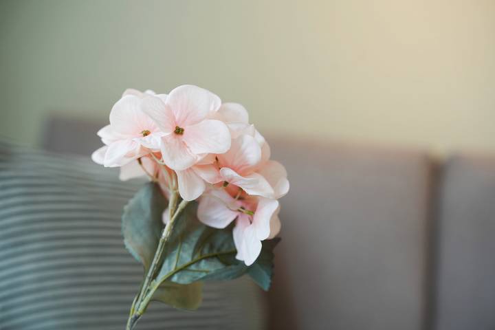 Ferienwohnung für 6 Personen, mit Garten in Freiburg - 3