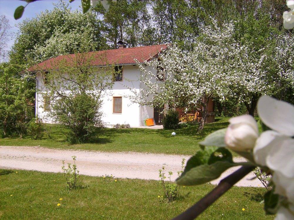 Doblerhof - Gänseblümchen (Doppelhaushälfte, 2 Etagen) in Höslwang, Chiemsee
