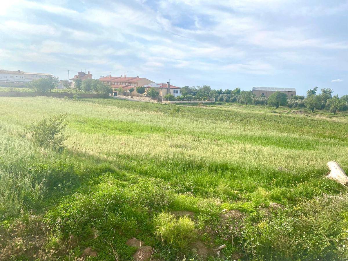 Casa Campoamor By Solymar Properties in Cogollos de Guadix, Géoparc de Grenade