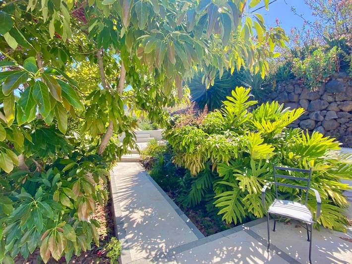 Casa rural para 3 personas, con jardín además de piscina y jacuzzi en La Orotava - 3