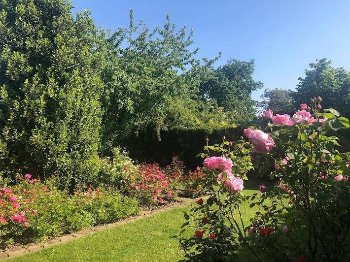 Gîte pour 2 personnes, avec vue et jardin à Frasnes-lez-Anvaing - 2