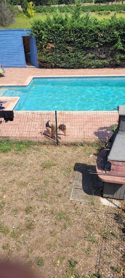 Location de vacances pour 6 personnes, avec vue ainsi que jardin et piscine, animaux acceptés à Montblanc - 4