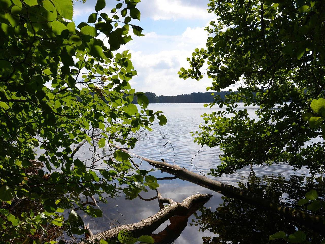 Ganze Ferienwohnung, Ferienwohnungen in Carwitz - Ferienwohnung Schmaler Luzin in Feldberger Seenlandschaft, Mecklenburg-Strelitz