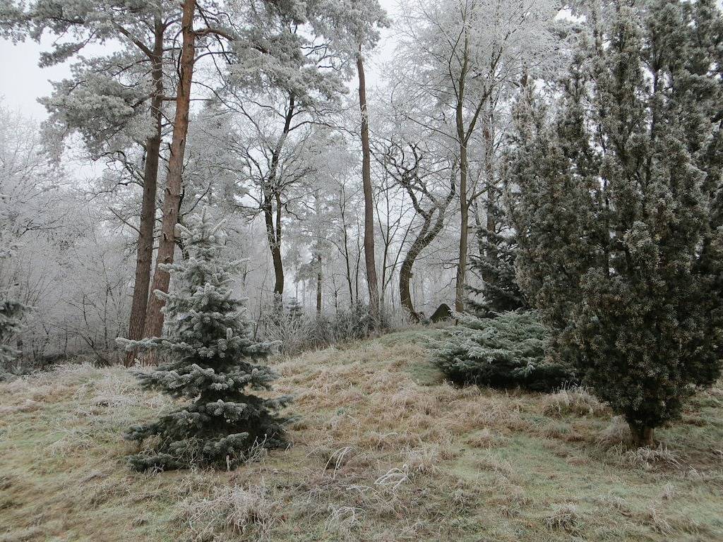 Ferienwohnung mit 1 Schlafzimmer in Winsen (Aller), Aller-Leine-Tal