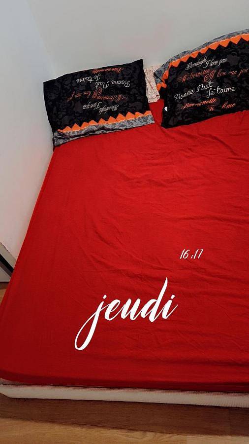 Appartement de vacances entier, Double Room - Disability Access in Bourg-la-Reine, Hauts-de-Seine