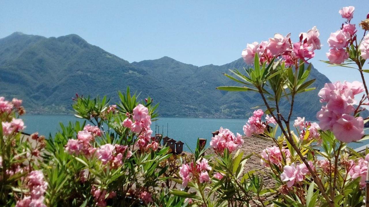 Ganze Wohnung, Casa Vacanze da Graziella in Lovere, Iseosee