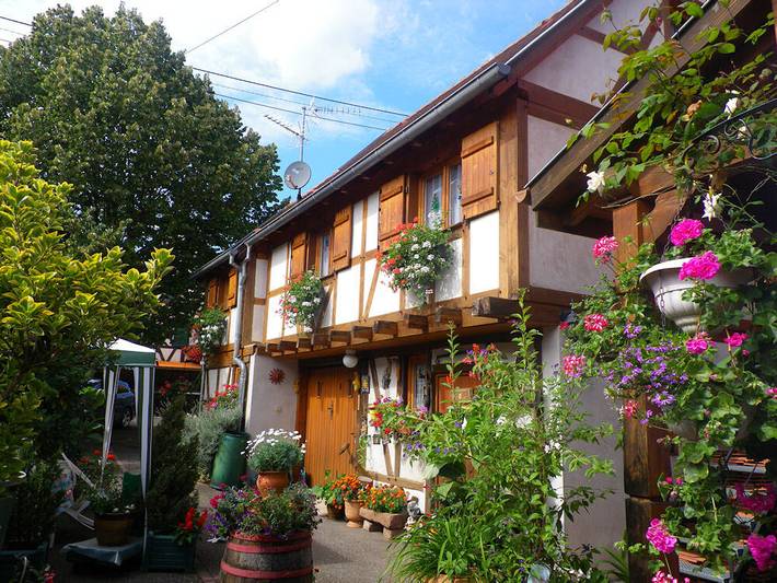 Gîte pour 4 personnes, avec terrasse à Kintzheim - 3