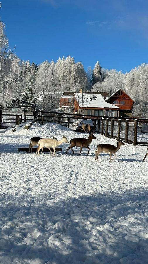 BnB für 4 Personen, mit Sauna und Garten sowie Ausblick, mit Haustier in Tschechien