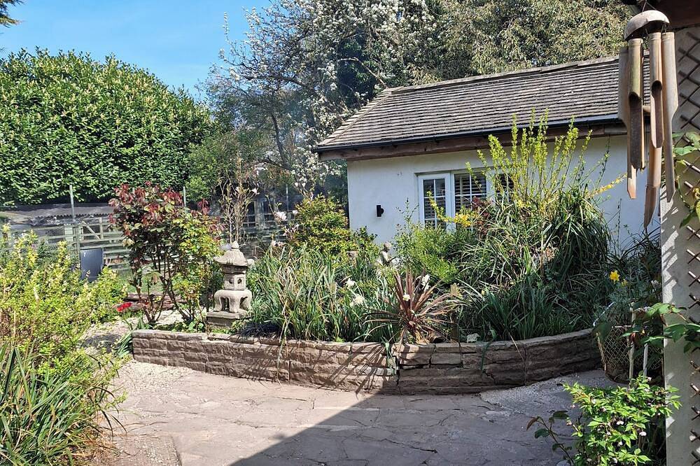 The Little House in Hull\npet Friendly \nsanctuary in the City in Kingston upon Hull, Yorkshire y Humber