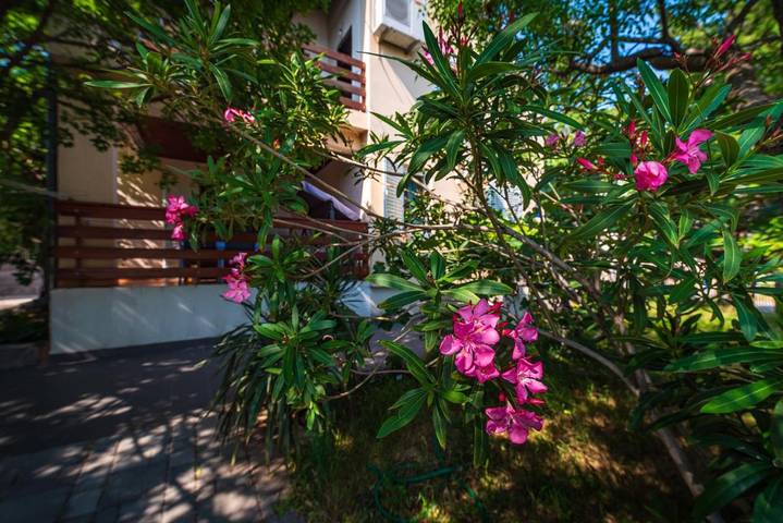 Ferienhaus für 9 Personen, mit Whirlpool und Garten sowie Pool in Karlobag - 3