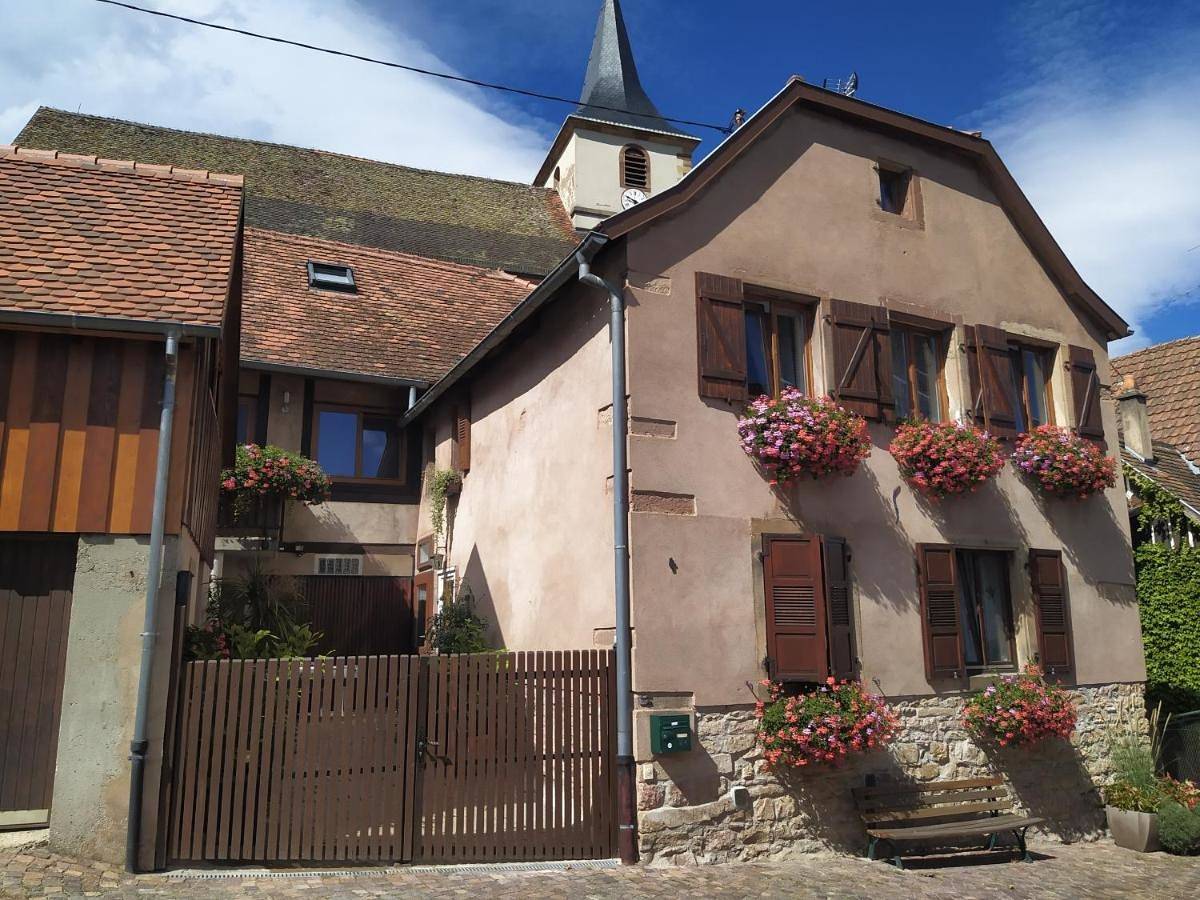 Appartement entier, Duplex Apartment in Ottrott, Bas-Rhin Alsace