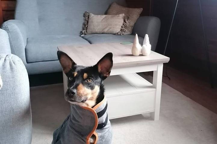 Ferienhaus für 4 Personen, mit Garten und Terrasse in Erbach im Odenwald - 2