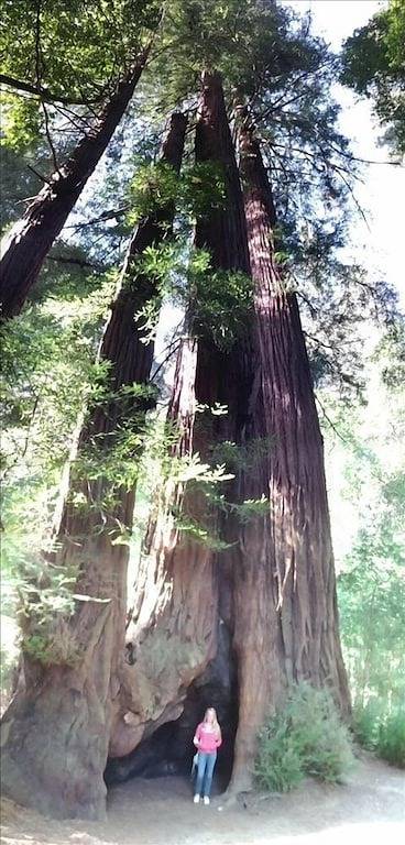 Location de vacances pour 8 personnes, avec balcon à Santa Cruz - 2