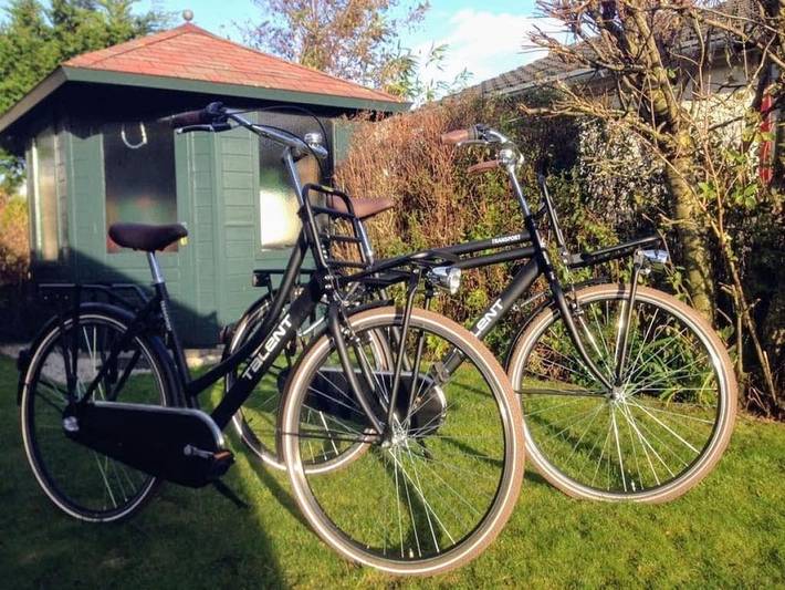 Ferienhaus für 4 Personen, mit Terrasse in Petten - 3