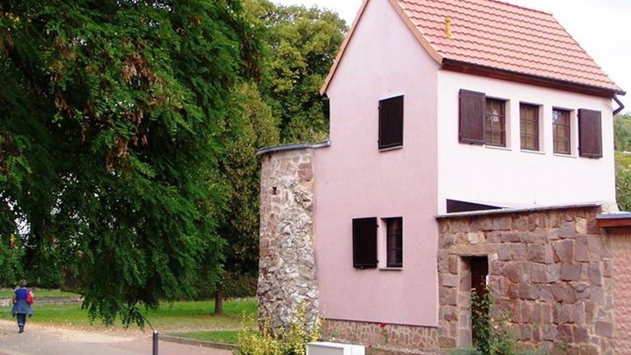 Ferienhaus für 4 Personen (55 m²) in Bad Frankenhausen in Bad Frankenhausen, Kyffhaeuser region