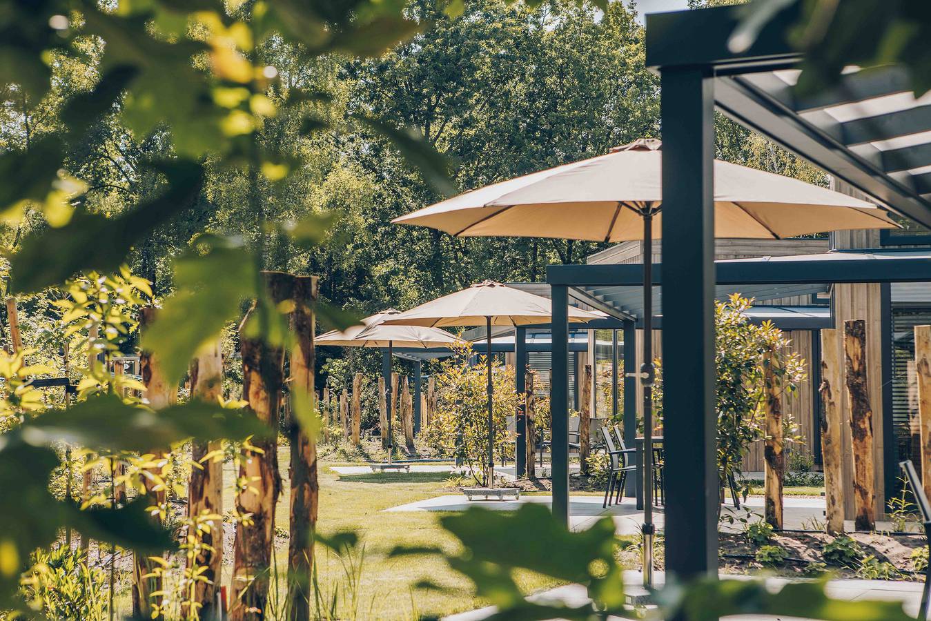 Veluwepark de Bosgraaf — Reeëndal Lodge | 4 personen in Veluwe