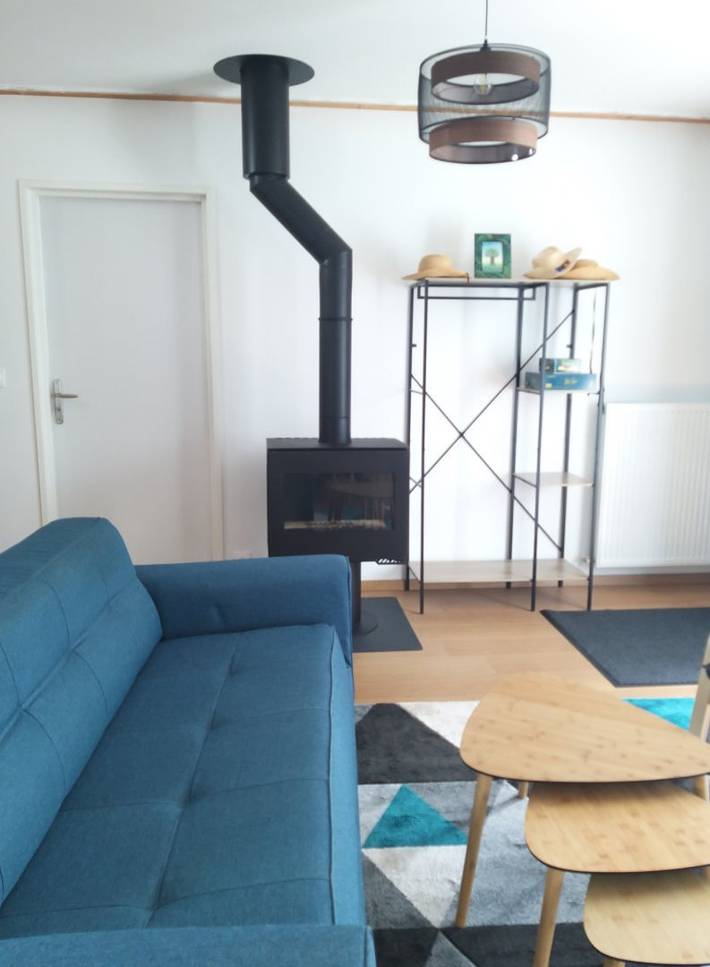 Gîte pour 8 personnes, avec jardin ainsi que terrasse et piscine, animaux acceptés à Vienne (France) - 4