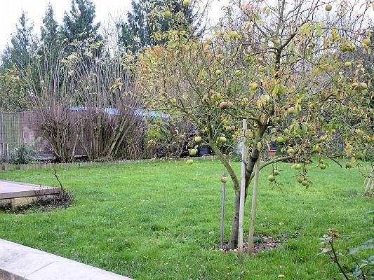 Location de vacances pour 4 personnes, avec jardin, animaux acceptés dans Marne - 3