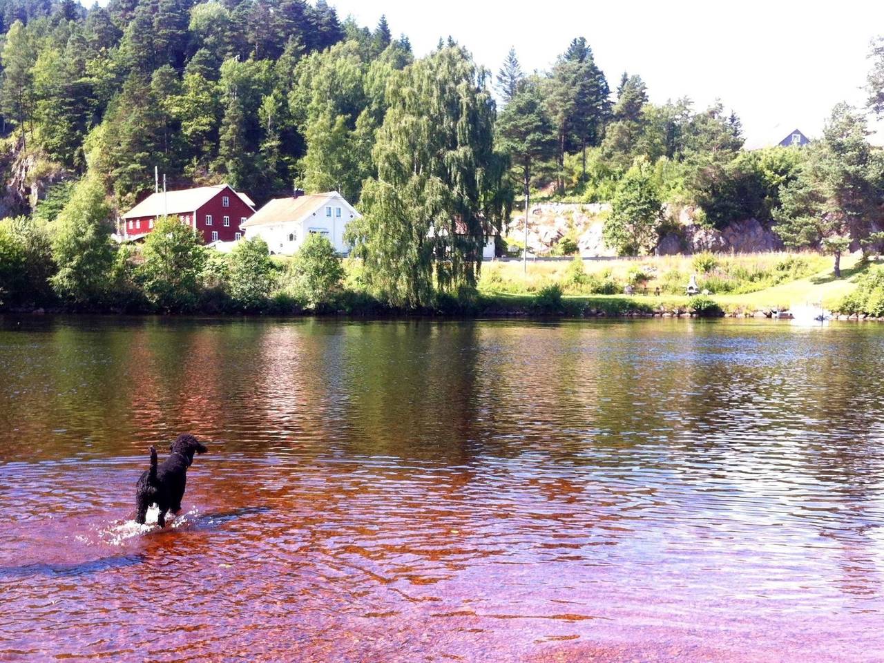 Mit Blick auf das Wasser in Mandal 
