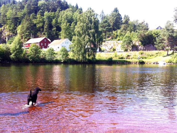 Mit Blick auf das Wasser in Mandal