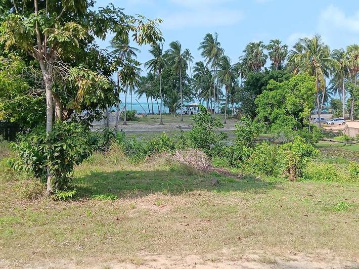 Maison d’hôte pour 2 personnes, avec vue et jardin dans Koh Samui - 2