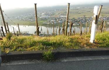 Ferienhaus für 14 Personen, mit Terrasse und Garten in Neumagen-Dhron