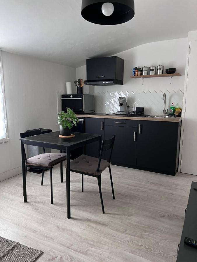 Appartement entier, Le gargantua, appartement à 500m du château in Chinon, Vallée de la Loire