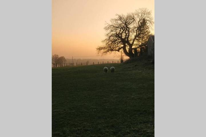 Location de vacances pour 6 personnes, avec jardin à Montpinchon - 4