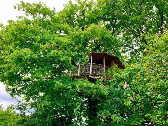 Chambre d’hôte pour 8 personnes, avec vue ainsi que piscine et jardin dans Mayenne - 3