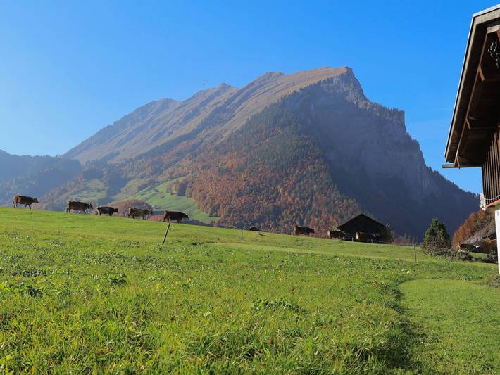 Ganze Ferienwohnung, Muxel Katharina - Ferienwohnung 2 - 5 Personen in Bregenzerwald (Vorarlberg), Au