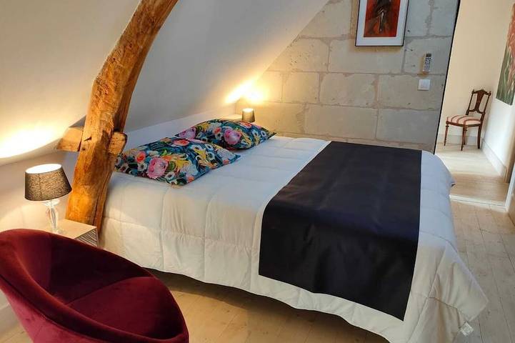 Location de vacances pour 6 personnes, avec terrasse ainsi que jardin et piscine, animaux acceptés à Rigny-Ussé - 4