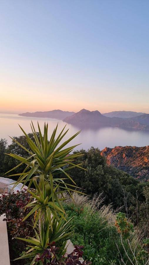 Appartement entier, Superior Apartment in Piana, Région d'Ajaccio