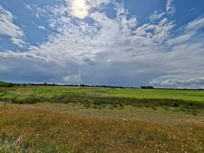 Ferienhaus für 10 Personen, mit Terrasse, kinderfreundlich in Skaven Strand - 2