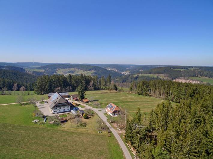 Gîte pour 4 personnes, avec terrasse et jardin, animaux acceptés à Schramberg - 3