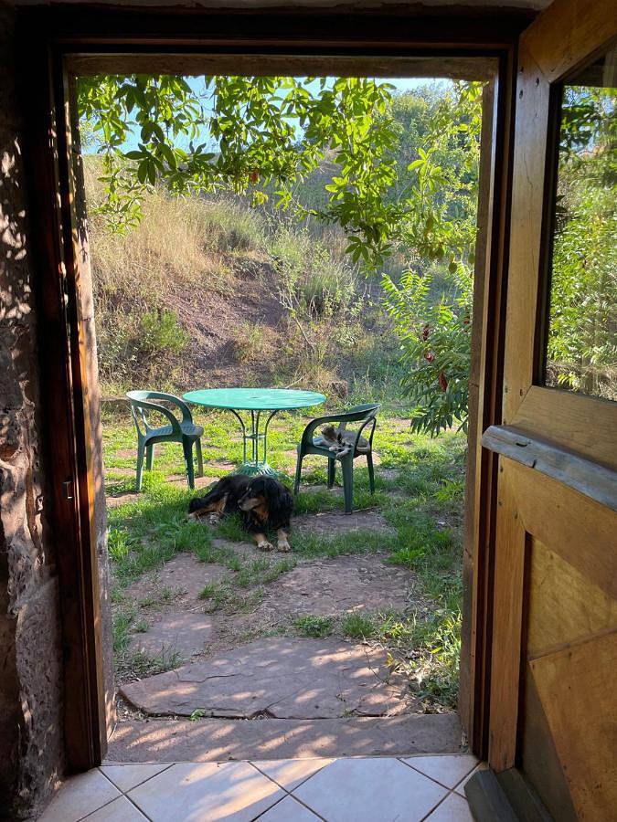 Maison d’hôte pour 7 personnes, avec vue et jardin, animaux acceptés dans l' Aveyron - 4