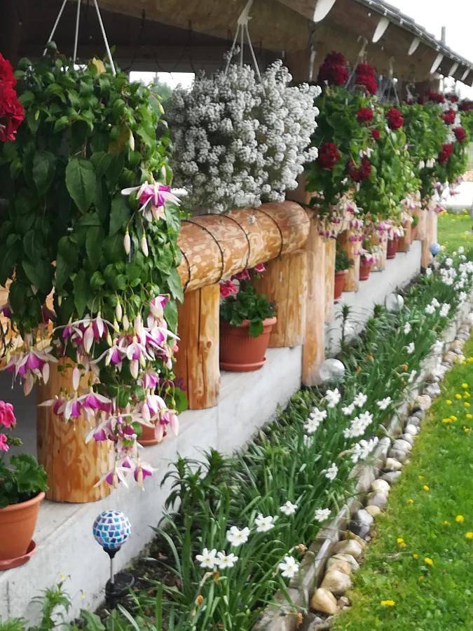 Location de vacances pour 12 personnes, avec jardin et vue dans Cluj-Napoca - 4